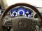 2010 Cadillac SRX Performance Collection