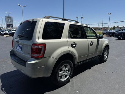 2009 Ford Escape XLT