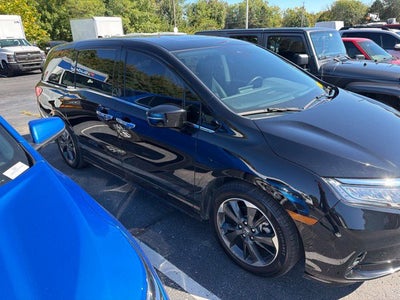 2024 Honda Odyssey Elite
